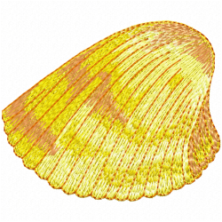 Seashell Embroidery Design 1